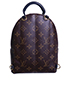 Palm Springs Backpack, back view